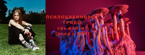 СК Алексин