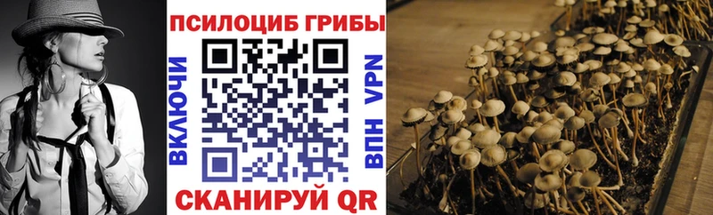 MEGA рабочий сайт  Рошаль  Псилоцибиновые грибы MAGIC MUSHROOMS  что такое  